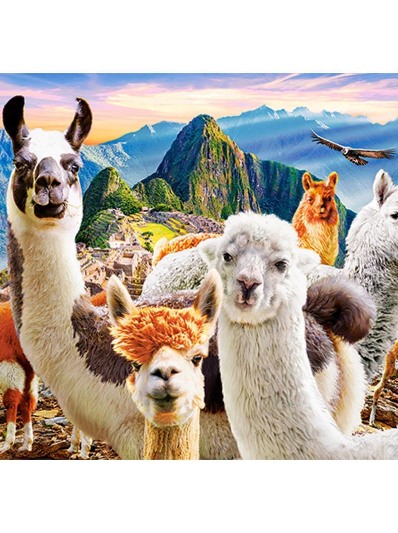 Puzzle 200 pièces : Lamas Selfie N/A - Kiabi
