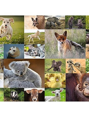 Puzzle 200 pièces XXL : Adorables bébés animaux