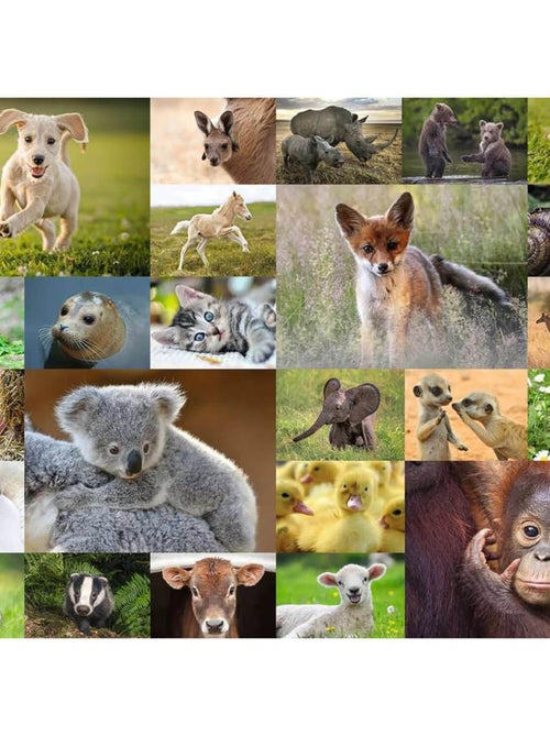 Puzzle 200 pièces XXL :  Adorables bébés animaux - Kiabi