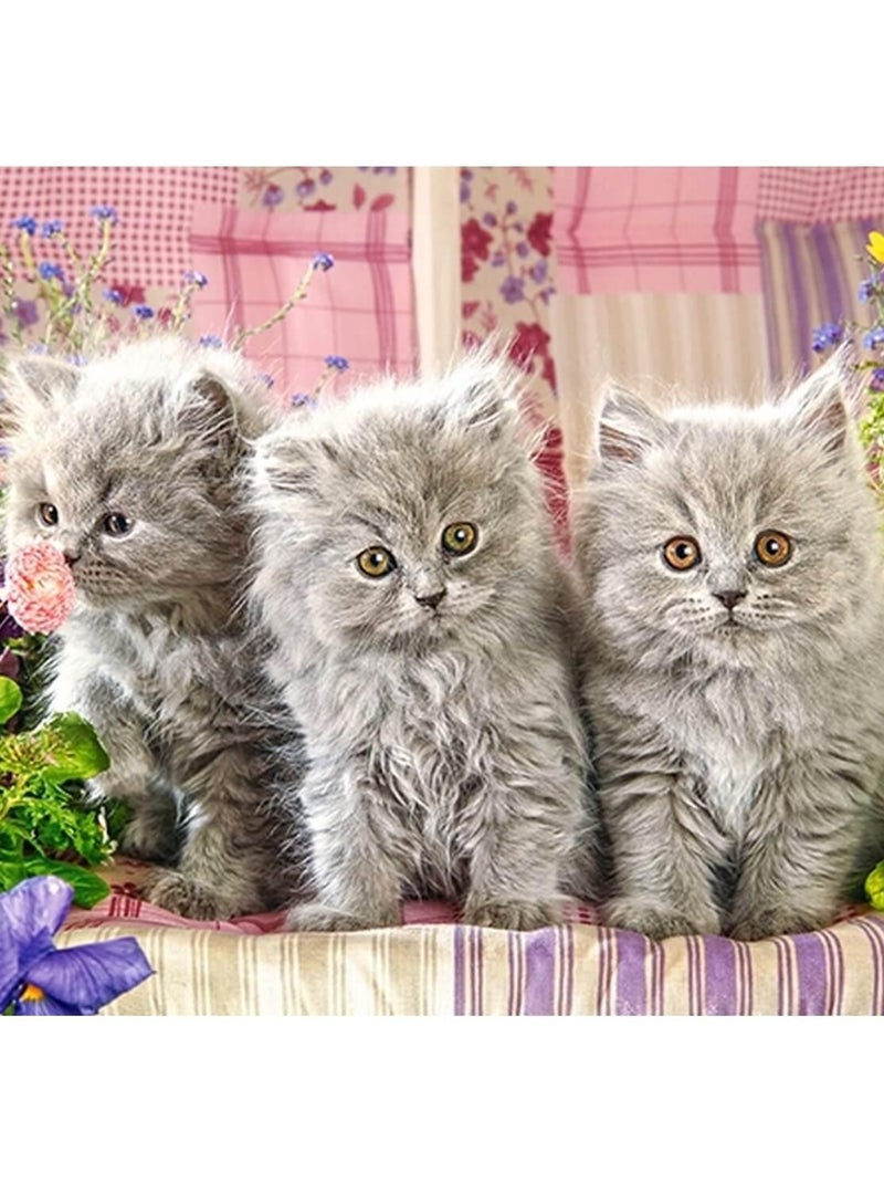 Puzzle 260 pièces : Trois chatons gris N/A - Kiabi