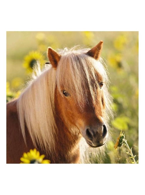 Puzzle 3 x 49 pièces : adorables poneys - Kiabi