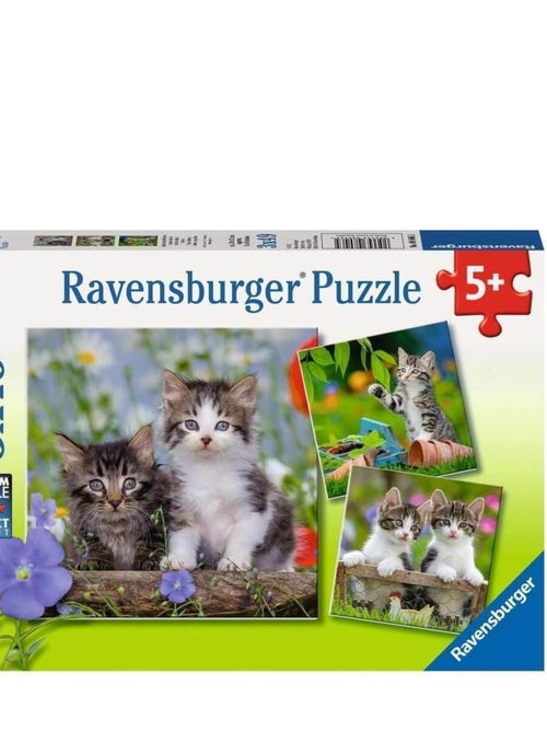 Puzzle 3 x 49 pièces : chatons tigrés - Kiabi