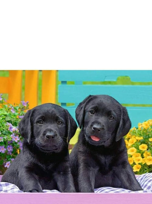 Puzzle 300 pièces XXL : Labradors - Kiabi