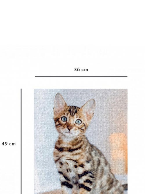 Puzzle 500 Pièces - Chaton Bengal  - Nathan - Kiabi
