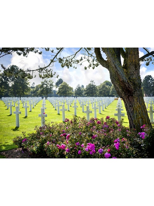 Puzzle 500 pièces Cimetière Americain - Fabriqué en France - Kiabi