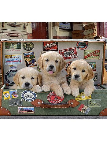 Puzzle 500 pièces : Des chiots dans les bagages