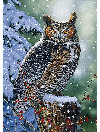 Puzzle 500 Pièces Hibou En Hiver - Fabriqué en France