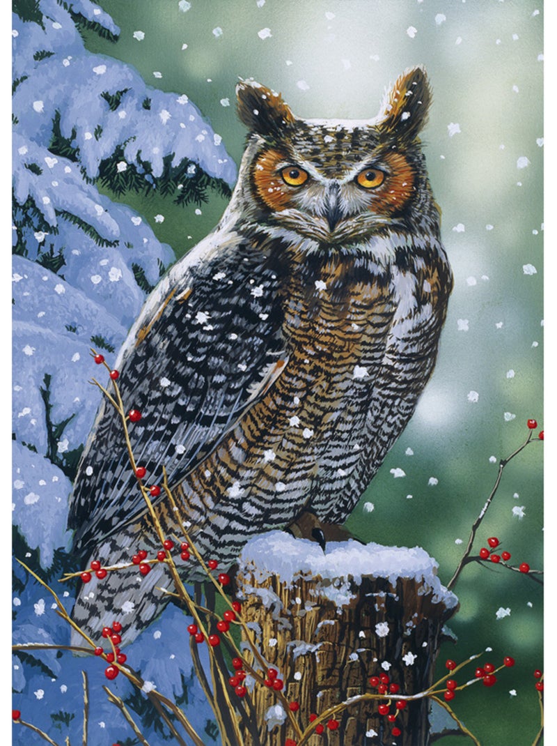 Puzzle 500 Pièces Hibou En Hiver - Fabriqué en France N/A - Kiabi