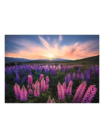 Puzzle 500 pièces Les lupins (nature) - - Ravensburger