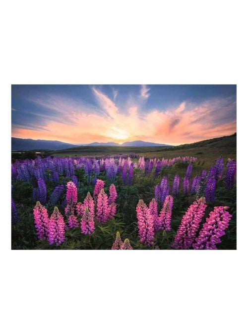 Puzzle 500 pièces Les lupins (Nature) - - Ravensburger - Kiabi