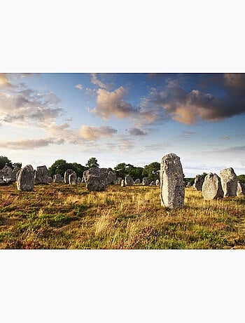 Puzzle 500 pièces Menhirs de Carnac - Fabriqué en France