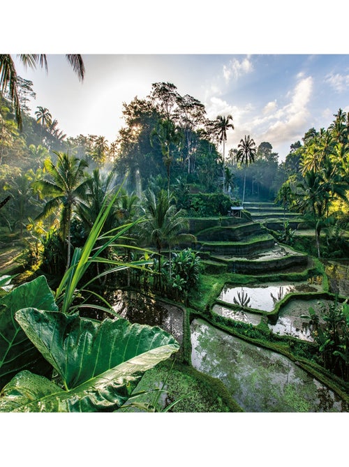 Puzzle Au cœur de Bali 2000 pcs - Kiabi