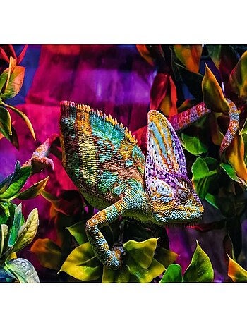 Puzzle Caméléon 500 pièces