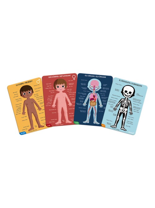 Puzzle éducatif Le Corps Humain - Kiabi