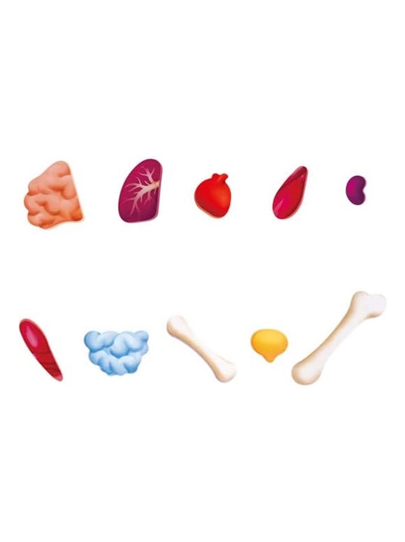 Puzzle Enfant 4 ans Corps Humain 60 Pièces en Bois N/A - Kiabi