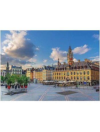 Puzzle grand'place de lille 1000 pcs