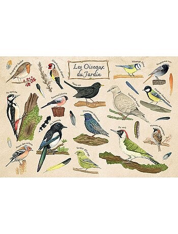 Puzzle Les oiseaux du jardin 100 pcs