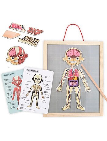 Puzzle magnétique tableau anatomie corps humain bois mamabrum
