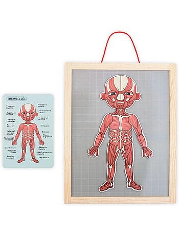 Puzzle magnétique tableau anatomie corps humain bois mamabrum