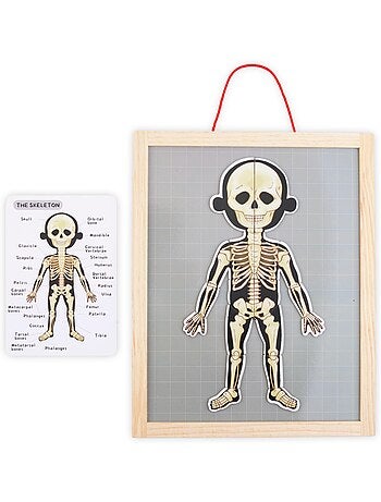 Puzzle magnétique tableau anatomie corps humain bois mamabrum