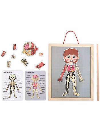 Puzzle magnétique tableau anatomie corps humain bois mamabrum