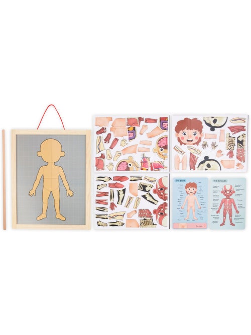 Puzzle magnétique tableau anatomie corps humain bois mamabrum - Kiabi Puzzle magnétique tableau anatomie corps humain bois mamabrum - Kiabi