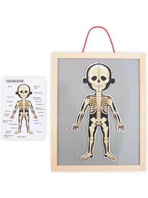 Puzzle magnétique tableau anatomie corps humain bois mamabrum - Kiabi Puzzle magnétique tableau anatomie corps humain bois mamabrum - Kiabi