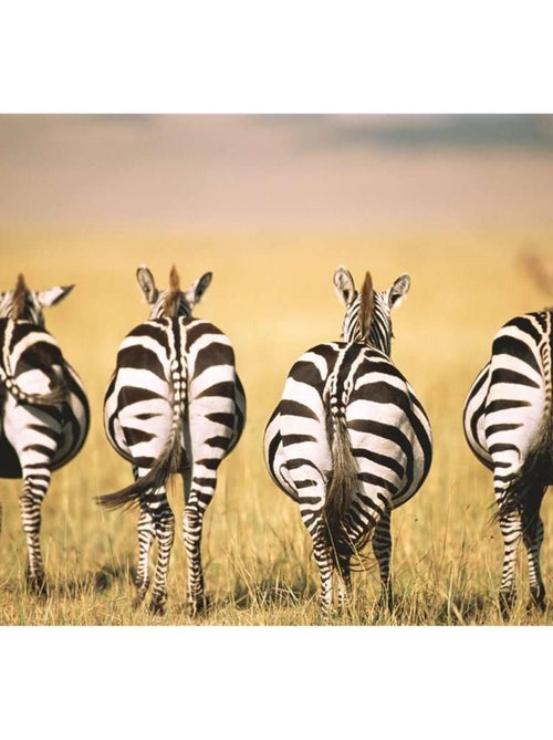 Puzzle Moment Zèbres - Kiabi Puzzle Moment Zèbres - Kiabi