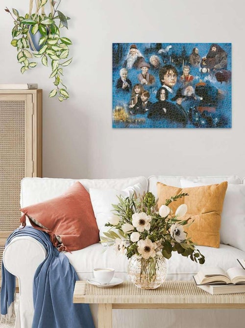 Puzzle Monde magique d'Harry Potter 1000 Pcs - Kiabi