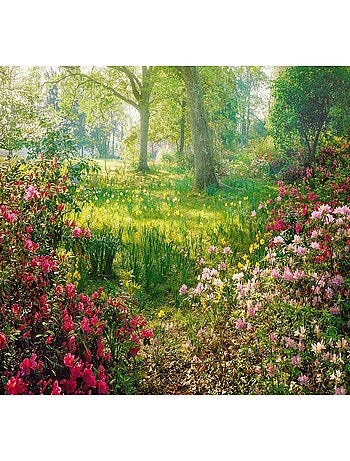 Puzzle Prairie Fleurie 1000 pièces