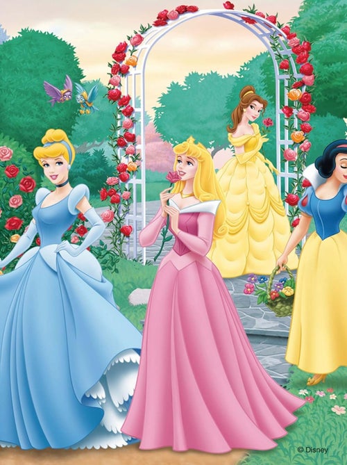 Puzzle Rêves de princesses Disney 3x49 pcs - Kiabi