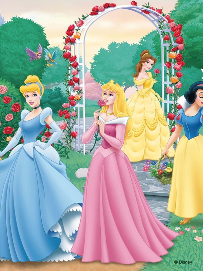 Puzzle Rêves de princesses Disney 3x49 pcs N/A - Kiabi