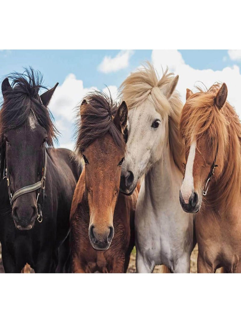 Puzzles 2x24 pièces - L'amour des chevaux N/A - Kiabi