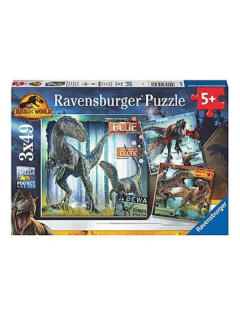 Puzzles T-rex Et Autres Dinosaures 3x49 Pieces - Kiabi