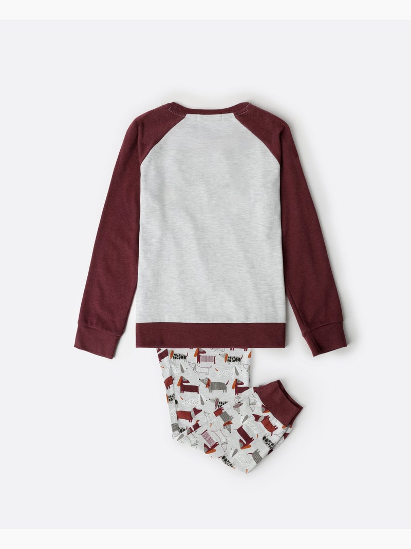 Pyjama à manches longues ADMAS pour chien pour garçon Marron - Kiabi