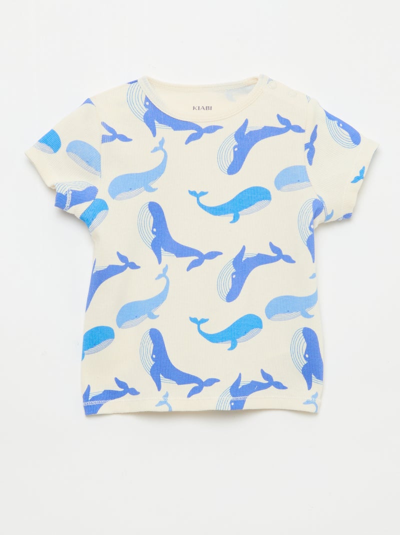 Pyjama t-shirt + short en coton côtelé - 2 pièces Blanc - Kiabi