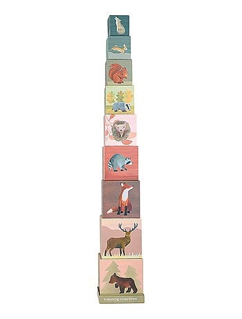 Pyramide forêt