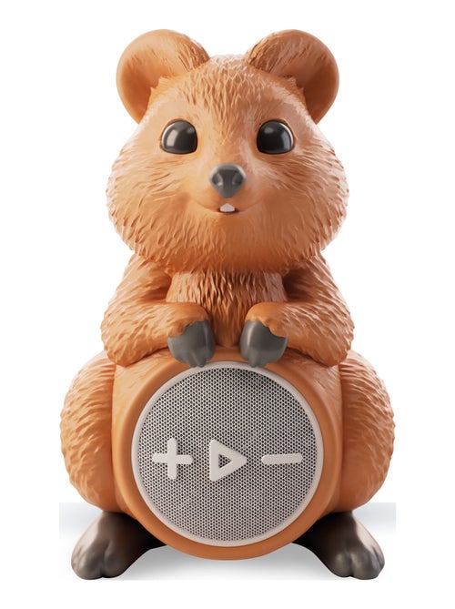RAINY DAYS QUOKKA – ENCEINTE BLUETOOTH SANS FIL - Kiabi