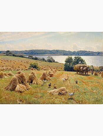 Récolte près de tulstrup de monsted
