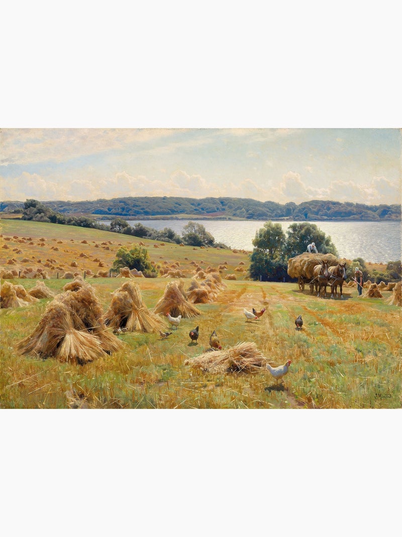 Récolte près de tulstrup de monsted N/A - Kiabi