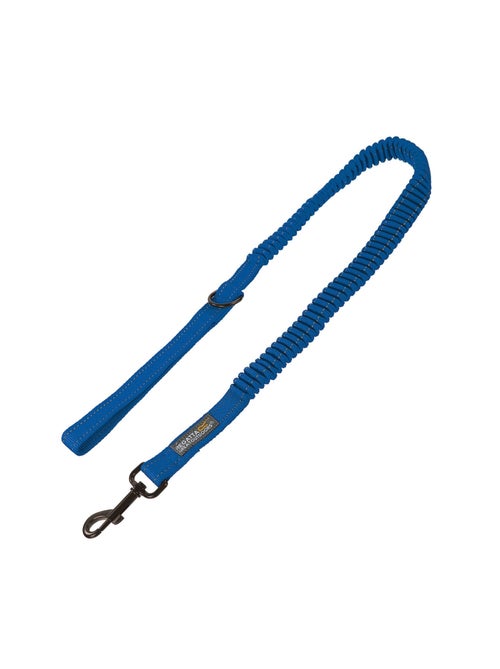 Régate - Laisse pour chiens - Kiabi Régate - Laisse pour chiens - Kiabi