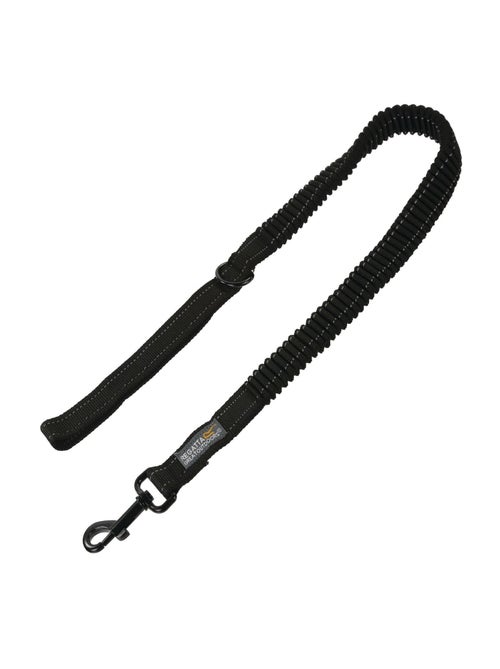 Régate - Laisse pour chiens - Kiabi Régate - Laisse pour chiens - Kiabi