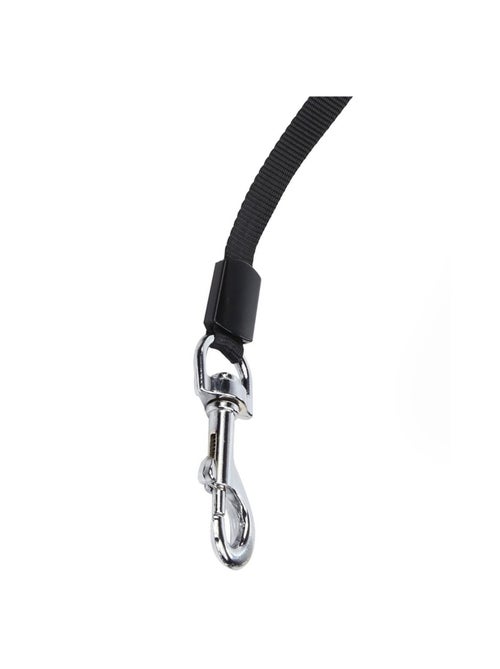 Régate - Laisse rétractable pour chiens - Kiabi