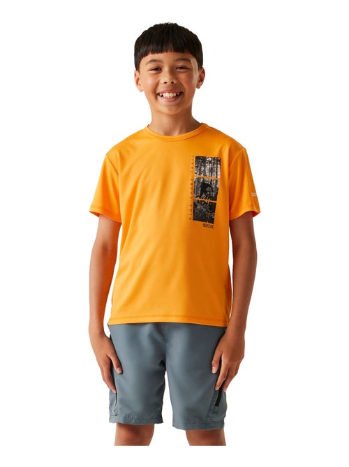 Régate - T-shirt motif/style Cyclisme ALVARADO - Kiabi Régate - T-shirt motif/style Cyclisme ALVARADO - Kiabi