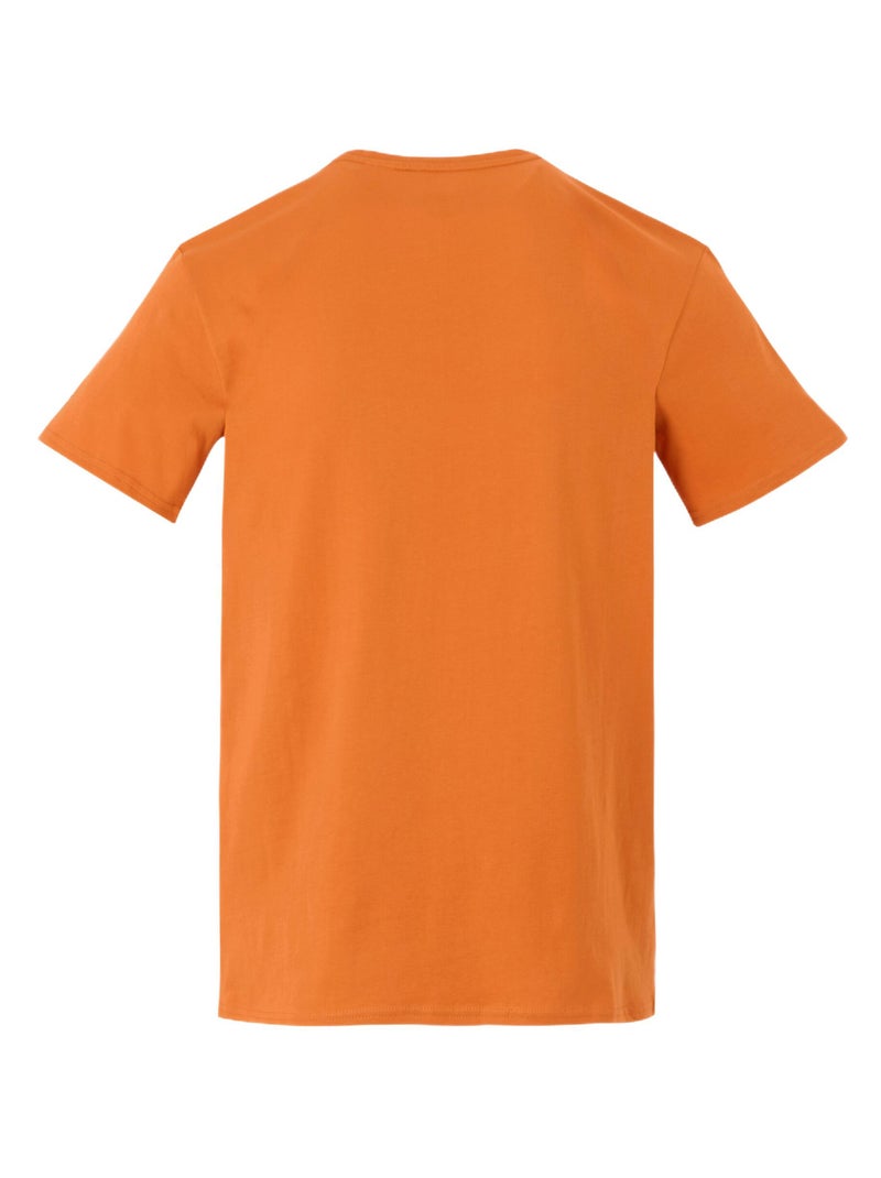 Régate - T-shirt motif/style montagne BREEZED Orange mandarine - Kiabi