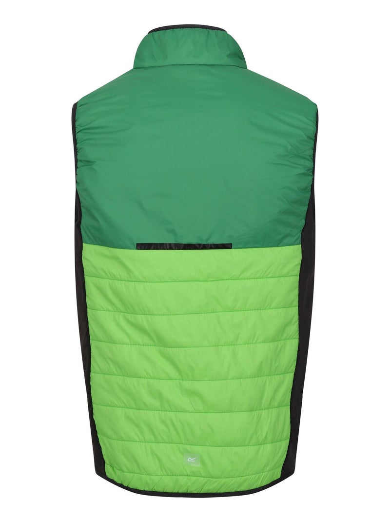 Régate - Veste sans manches HALTON BAFFLED Vert clair - Kiabi