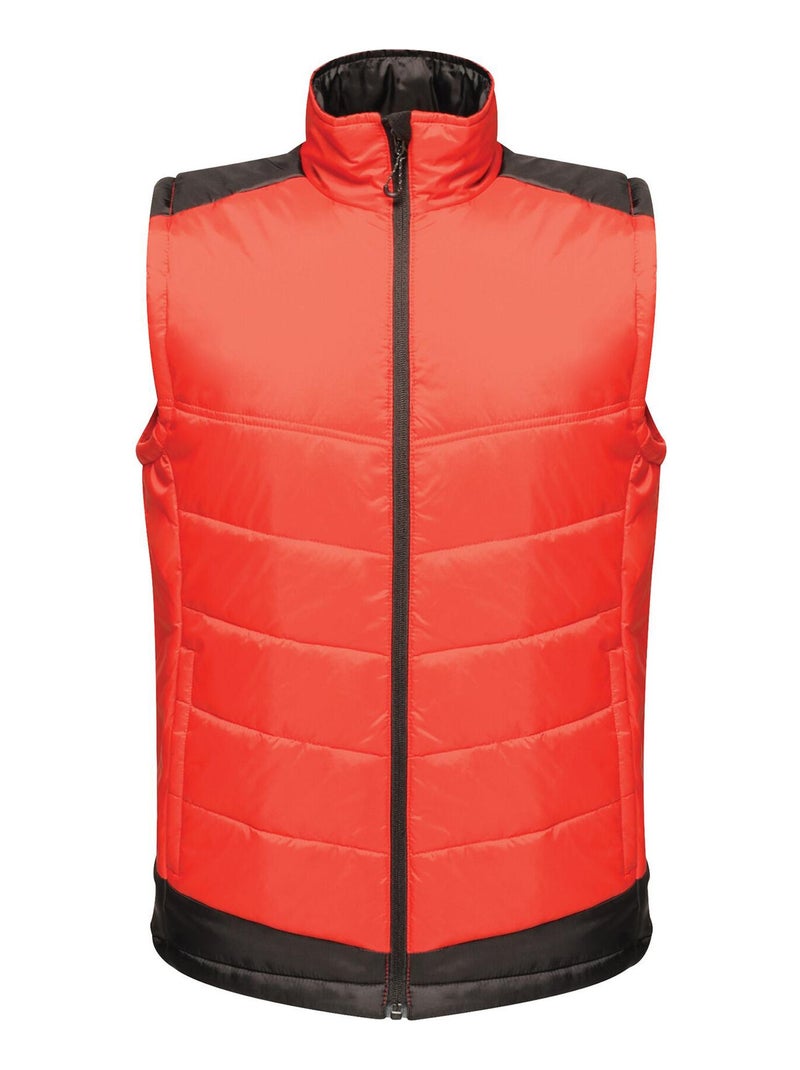 Regatta - Gilet UPROAR Rouge brique - Kiabi