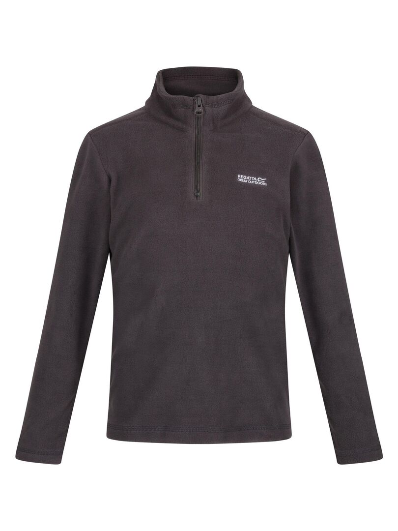 Veste Polaire ASCENDER Homme (Noir / Gris) REGATTA