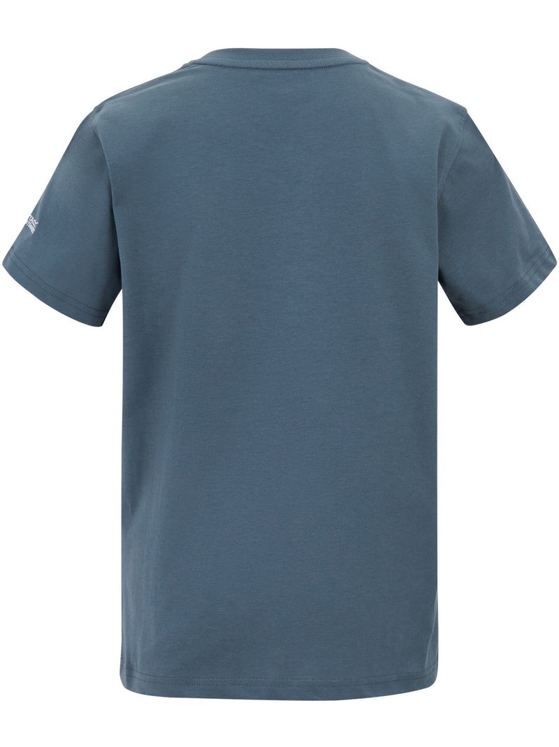 Regatta - T-shirt motif/style graphique BOSLEY FOR EVERY ADVENTURE Bleu ardoise - Kiabi