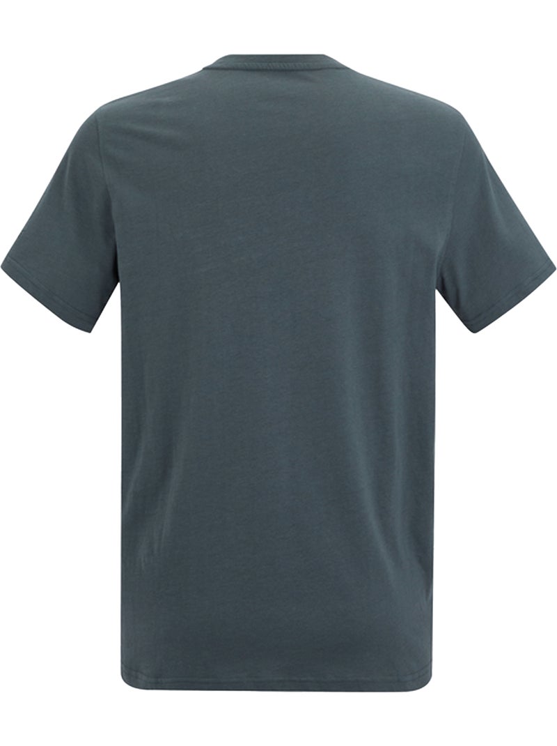 Regatta - T-shirt motif/style graphique BREEZED Gris foncé - Kiabi
